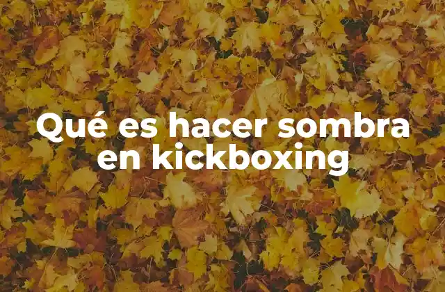 Qué es Hacer Sombra en Kickboxing