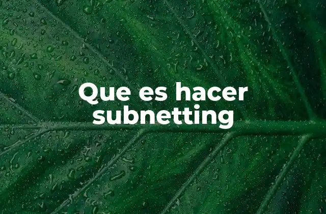Que es Hacer Subnetting