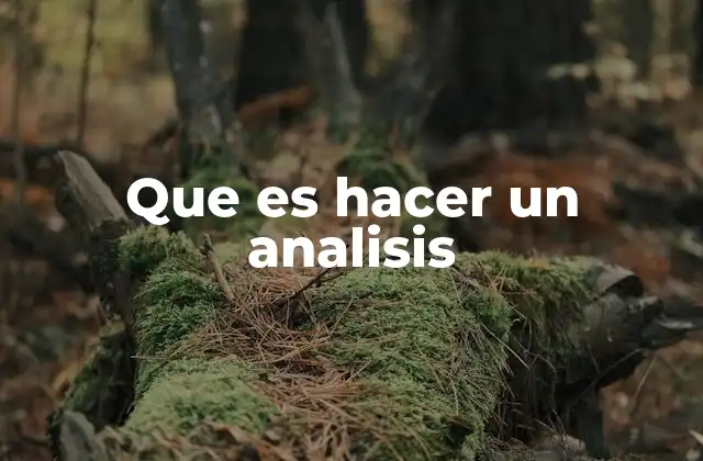 Que es Hacer un Analisis 2 El proceso detrás del estudio detallado de un tema
