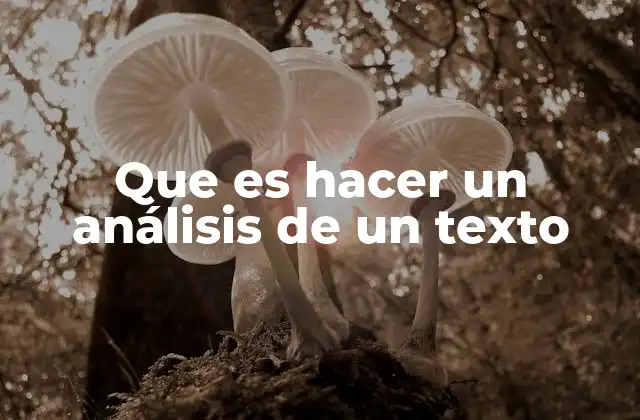 Que es Hacer un Análisis de un Texto