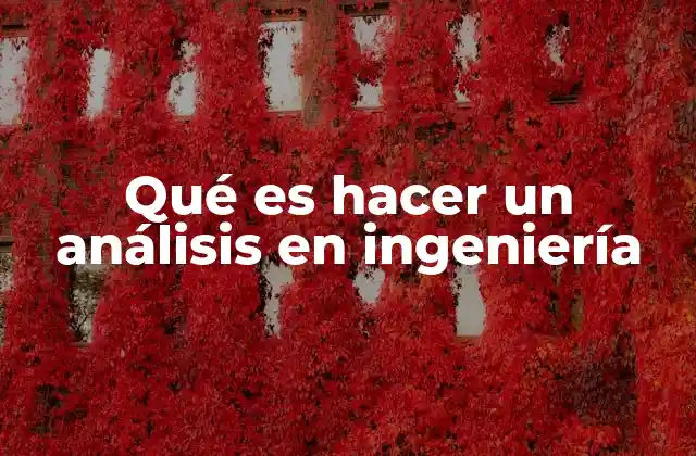 Qué es Hacer un Análisis en Ingeniería