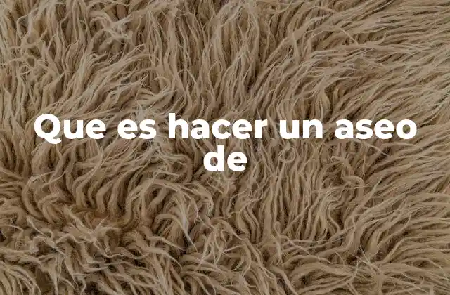 Que es Hacer un Aseo de