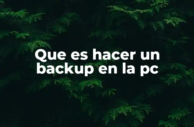 Que es Hacer un Backup en la Pc