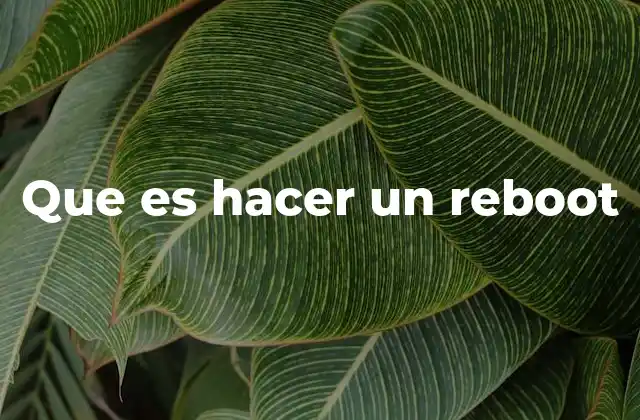 Que es Hacer un Reboot