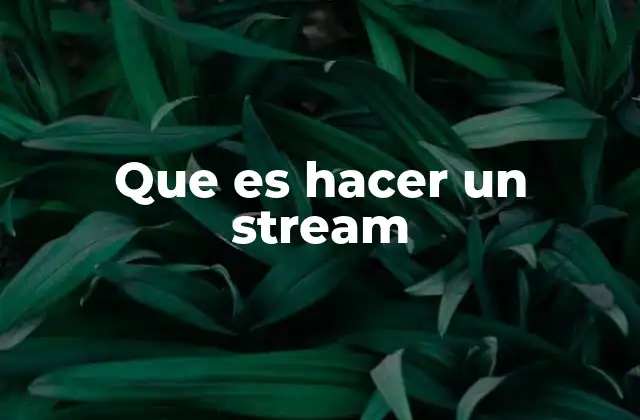 Que es Hacer un Stream