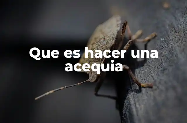 Que es Hacer una Acequia