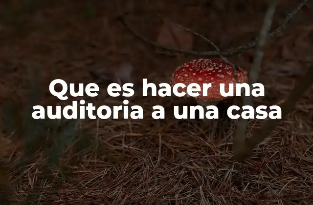 Que es Hacer una Auditoria a una Casa