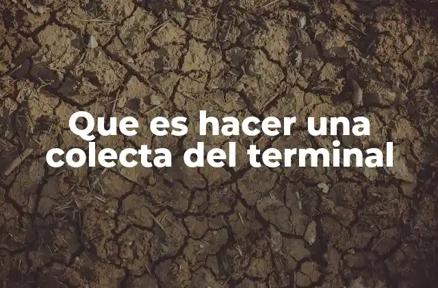 Que es Hacer una Colecta Del Terminal
