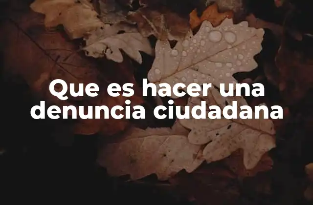 Que es Hacer una Denuncia Ciudadana