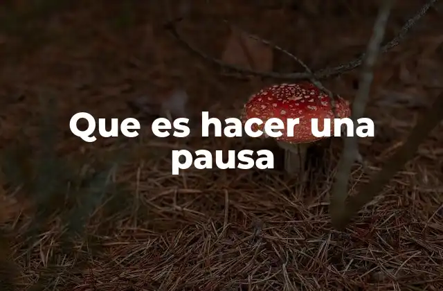 Que es Hacer una Pausa