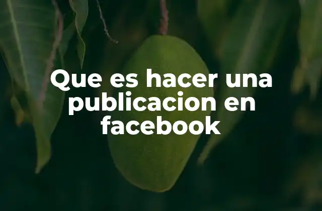 Que es Hacer una Publicacion en Facebook