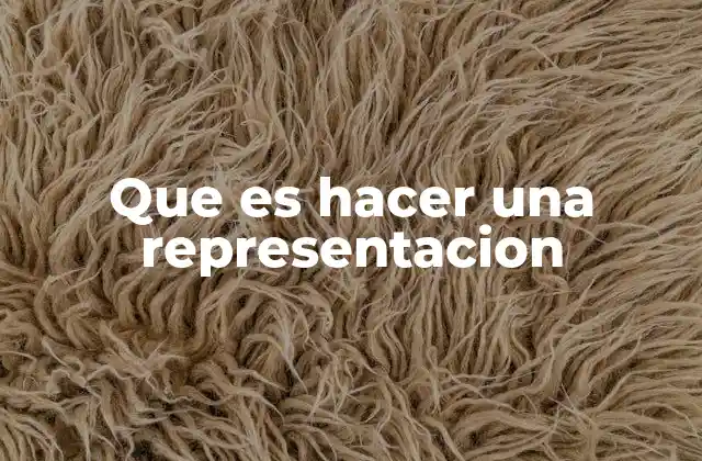 Que es Hacer una Representacion