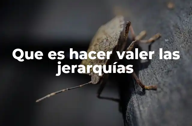 Que es Hacer Valer las Jerarquías