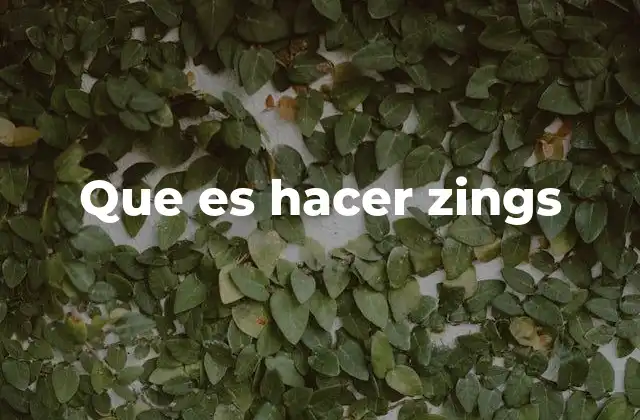 Que es Hacer Zings