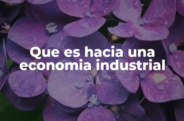 Que es hacia una Economia Industrial