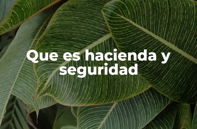 Que es Hacienda y Seguridad