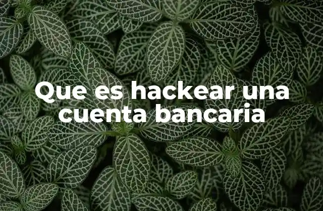 Que es Hackear una Cuenta Bancaria