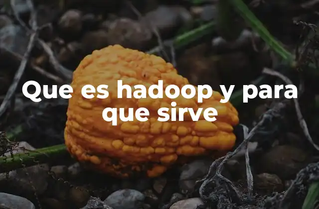 Que es Hadoop y para que Sirve