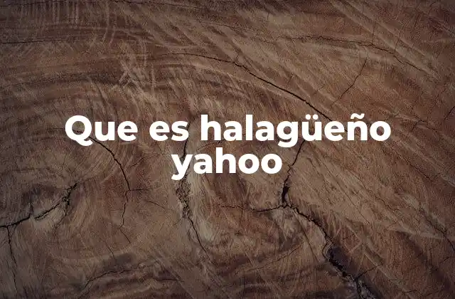 Que es Halagüeño Yahoo 2 El papel de Yahoo en la evolución de internet