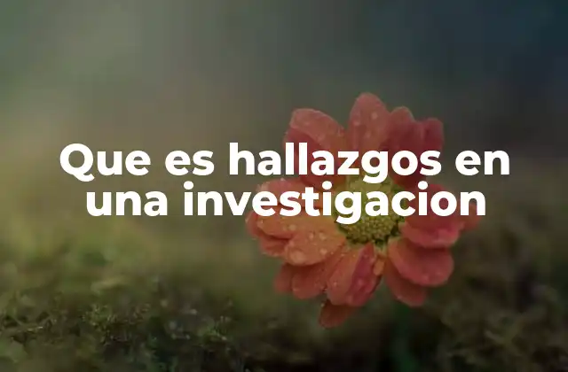 Que es Hallazgos en una Investigacion