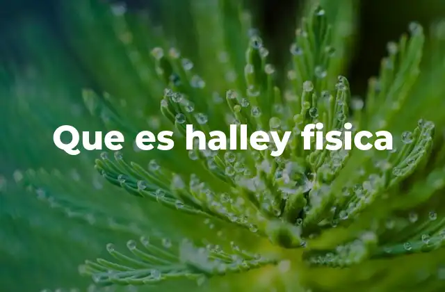 Que es Halley Fisica