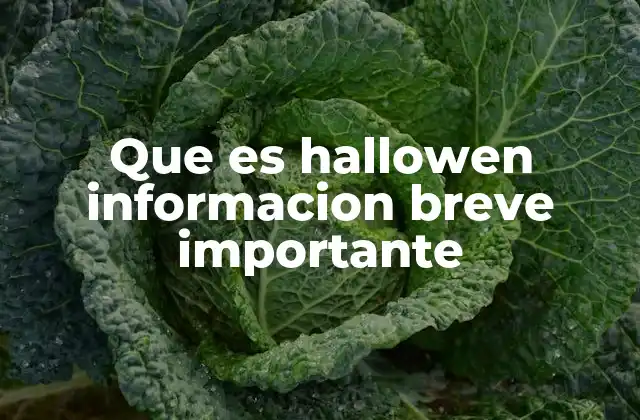 Que es Hallowen Informacion Breve Importante
