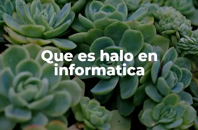 Que es Halo en Informatica