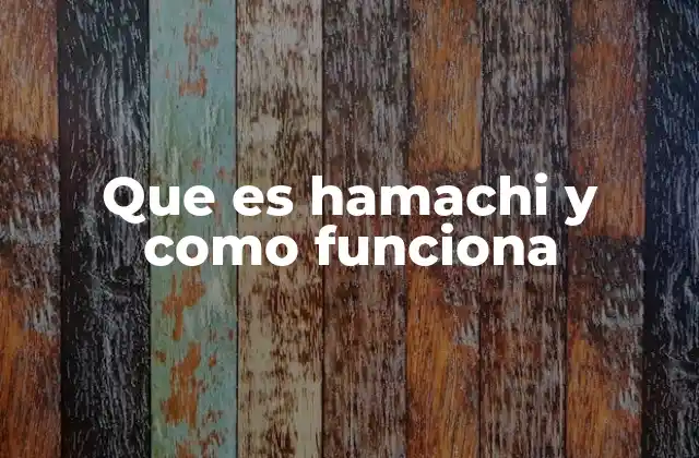 Que es Hamachi y como Funciona