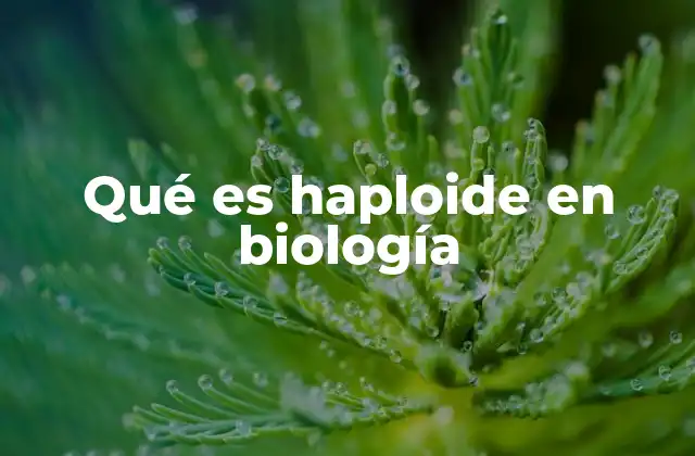 Qué es Haploide en Biología 2 La importancia de la haploidía en la genética