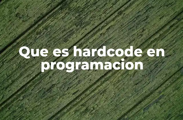 Que es Hardcode en Programacion