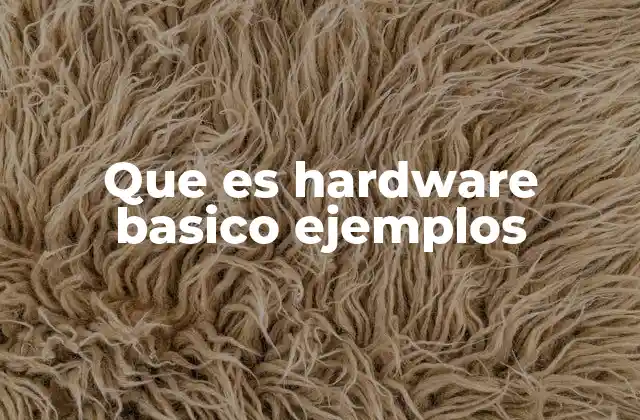Que es Hardware Basico Ejemplos