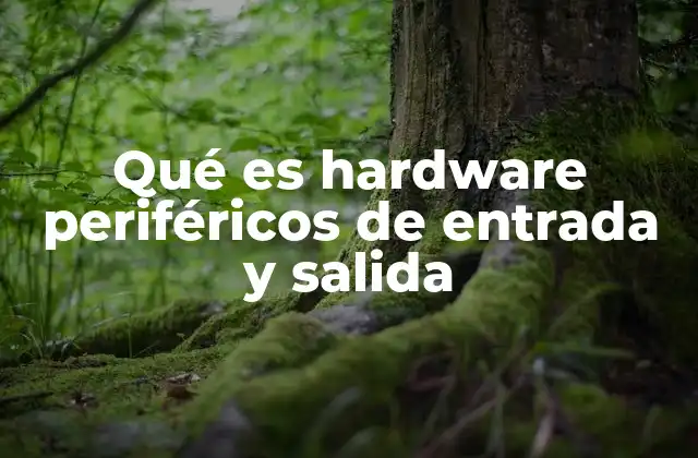 Qué es Hardware Periféricos de Entrada y Salida