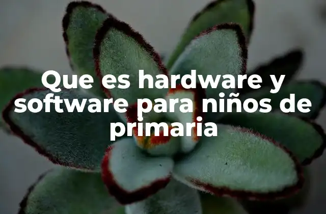 Que es Hardware y Software para Niños de Primaria
