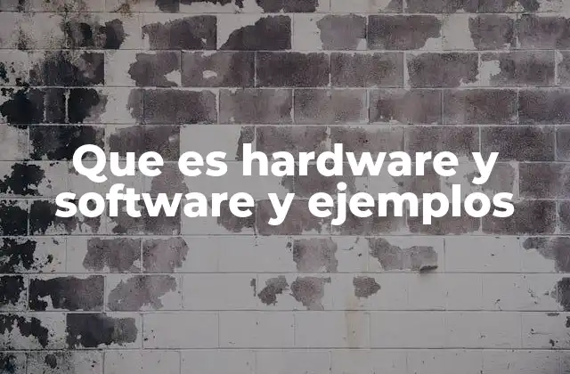 Que es Hardware y Software y Ejemplos