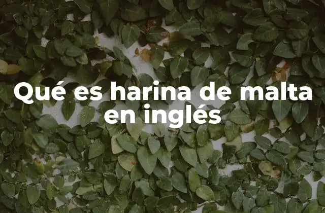 Qué es Harina de Malta en Inglés