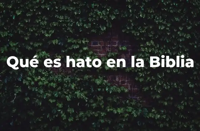 Qué es Hato en la Biblia