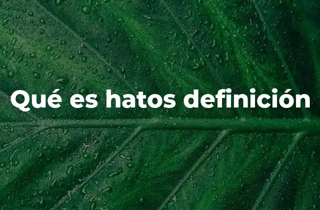 Qué es Hatos Definición