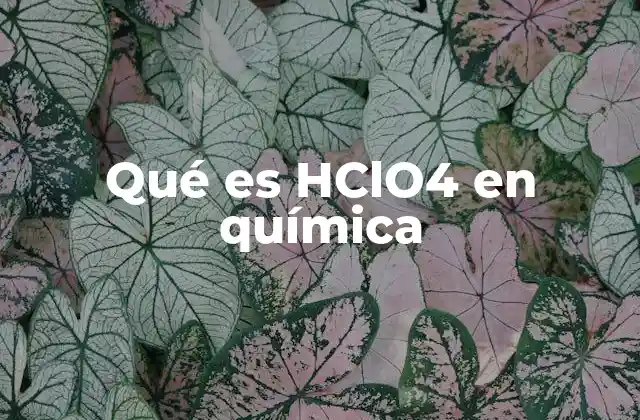 Qué es Hclo4 en Química