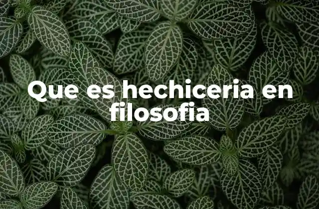 Que es Hechiceria en Filosofia