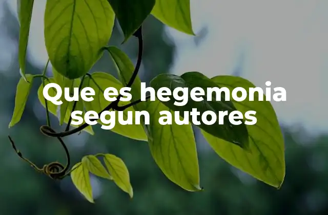 Que es Hegemonia Segun Autores