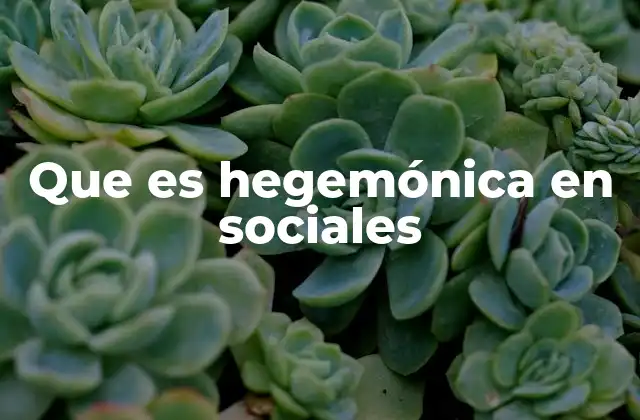 Que es Hegemónica en Sociales