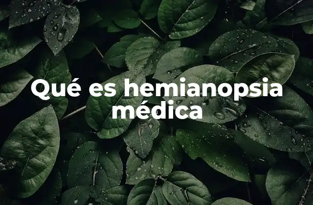 Causas y mecanismos detrás de la hemianopsia