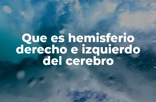 Las diferencias entre los hemisferios cerebral