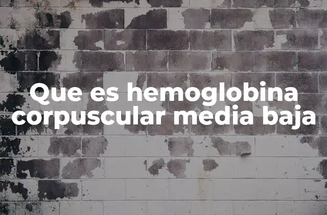 Que es Hemoglobina Corpuscular Media Baja 2 ¿Cómo se relaciona la HCM baja con otros parámetros hematológicos?