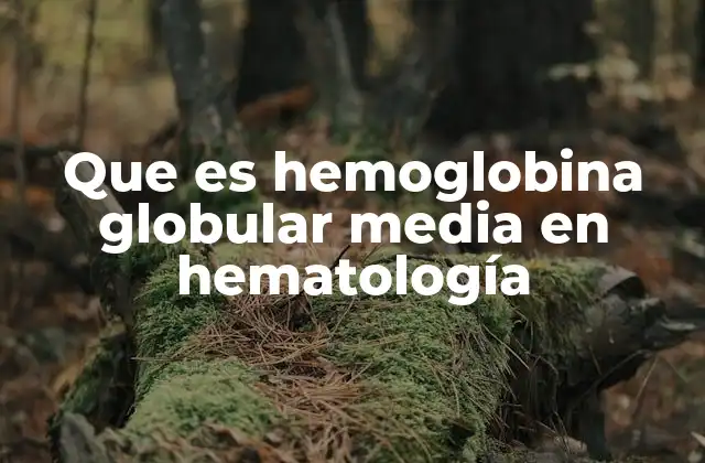 Importancia de la hemoglobina globular media en la salud