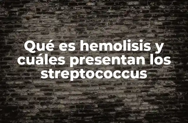 Qué es Hemolisis y Cuáles Presentan los Streptococcus