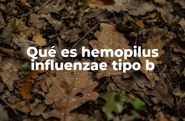 Qué es Hemopilus Influenzae Tipo B