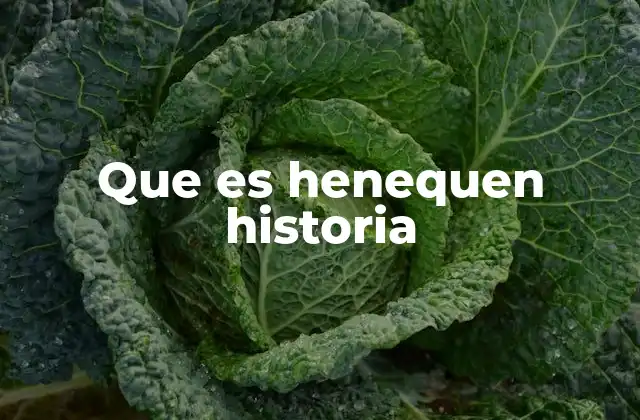 Que es Henequen Historia