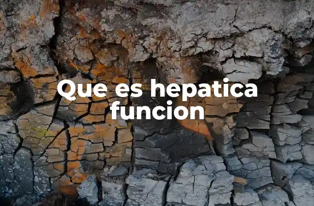 El papel del hígado en la salud general
