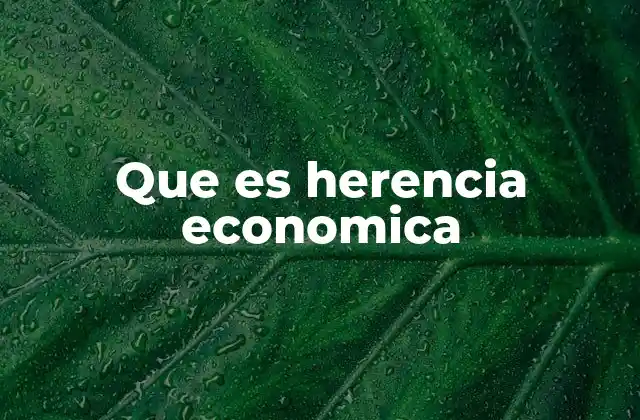 Que es Herencia Economica